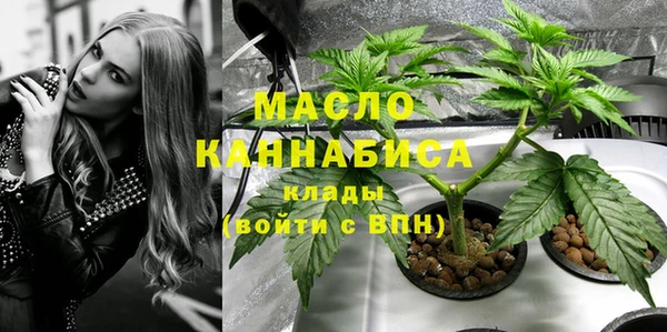 гашик Инсар