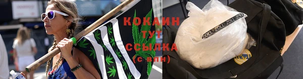 гашик Инсар
