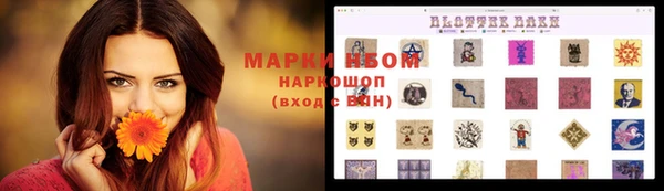 гашик Инсар