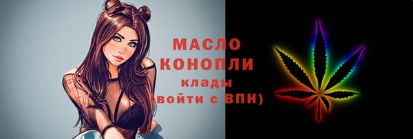 гашик Инсар