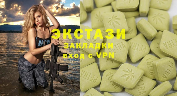гашик Инсар