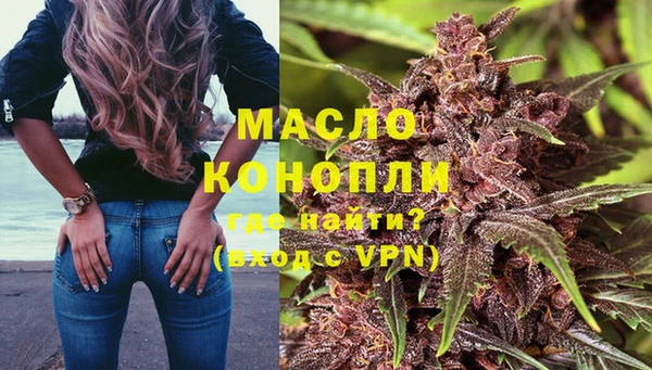 гашик Инсар