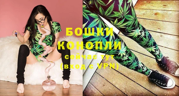 гашик Инсар