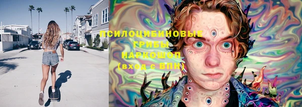 прущий лед Инта