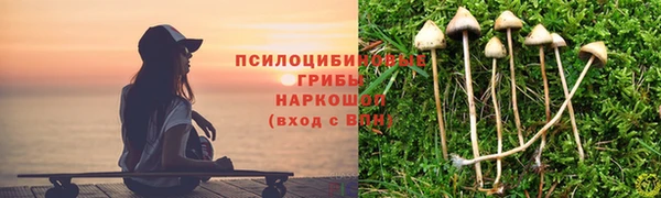 прущий лед Инта