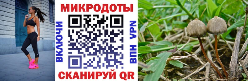 Псилоцибиновые грибы Psilocybine cubensis  Купить закладки  Лахденпохья 